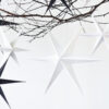 Papier Sterne "weiss"