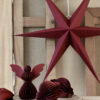 Papier Sterne "red"